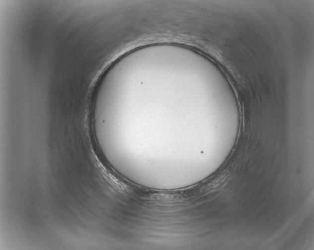 X0000074941500200609221651