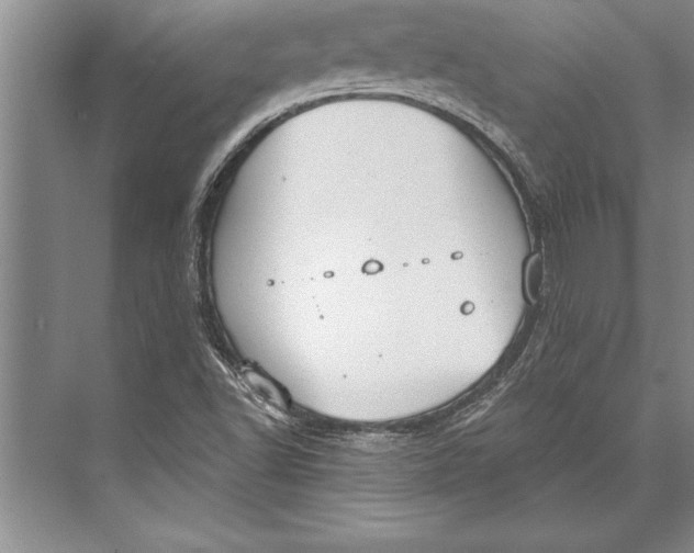 X0000074941502200609221651