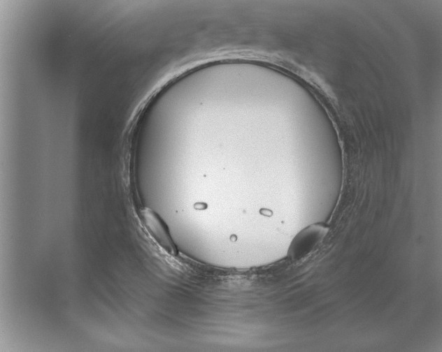 X0000074941504200609221651