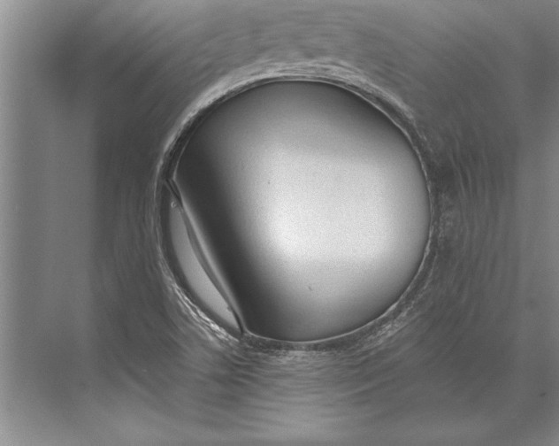 X0000074941506200609221651