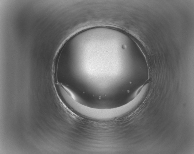 X0000074941508200609221651