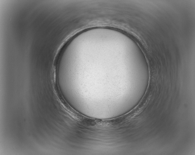 X0000074941509200609221651