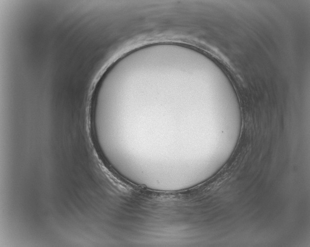 X0000074941512200609221651