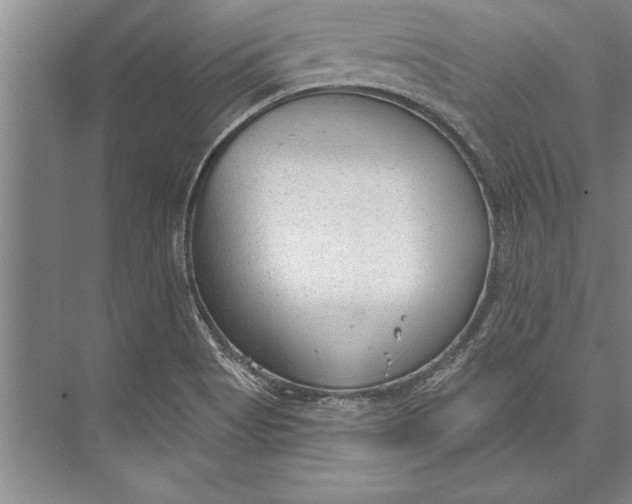 X0000074941513200609221651