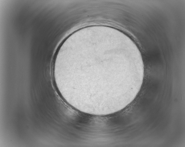 X0000074941514200609221651