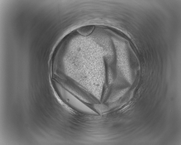 X0000074941515200609221651