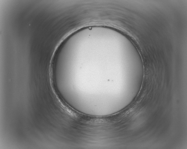 X0000074941517200609221651