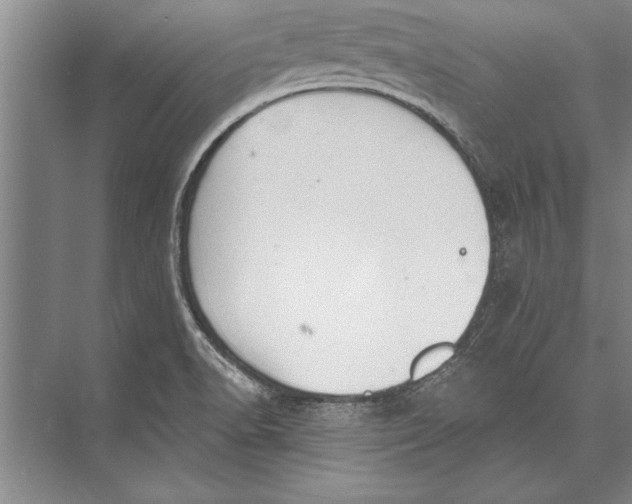 X0000074941518200609221651