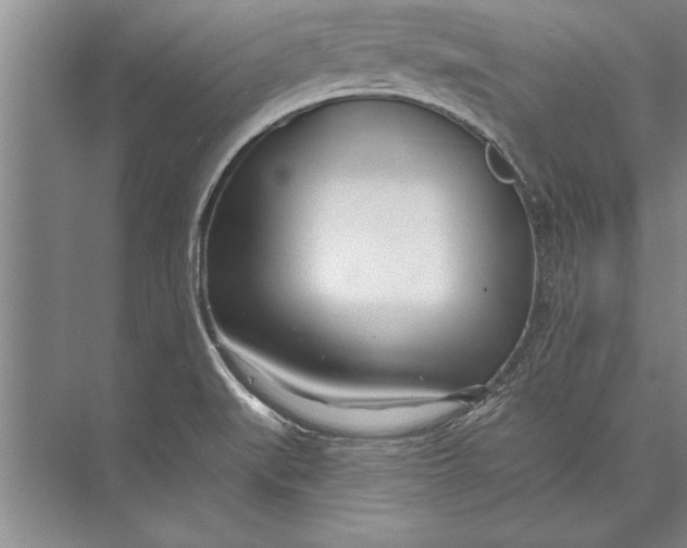 X0000074941519200609221651