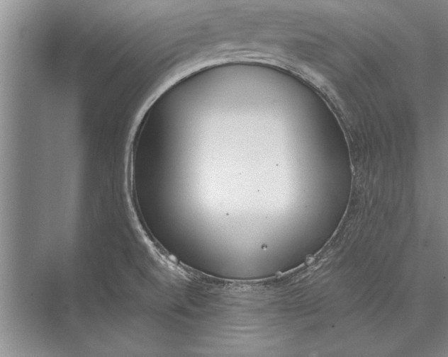 X0000074941520200609221651