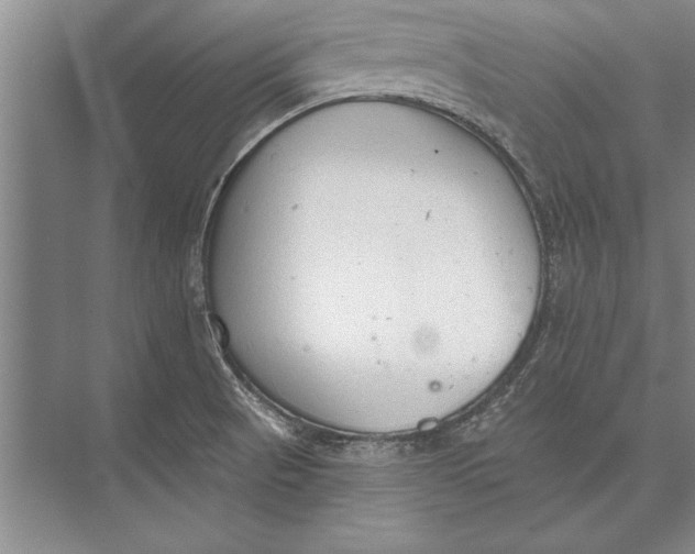 X0000074941521200609221652