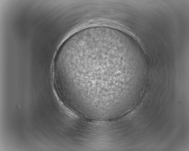 X0000074941522200609221652