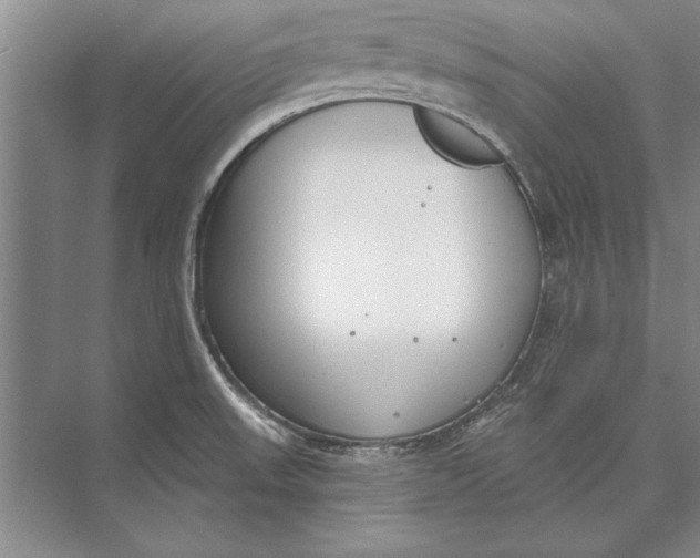 X0000074941523200609221652