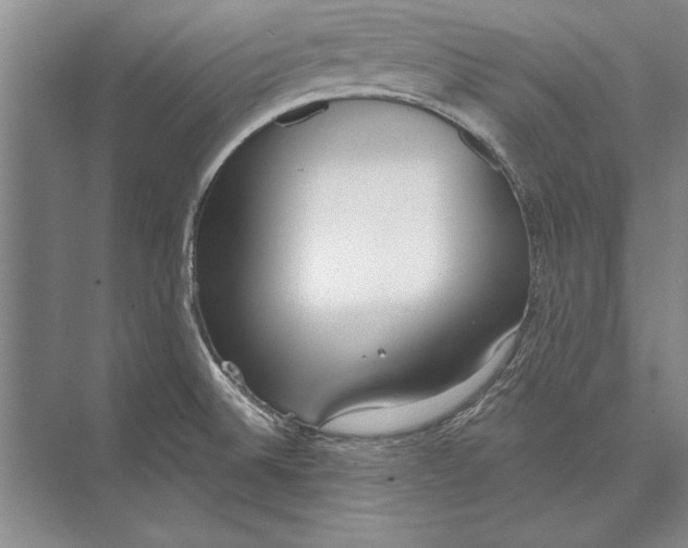 X0000074941524200609221652