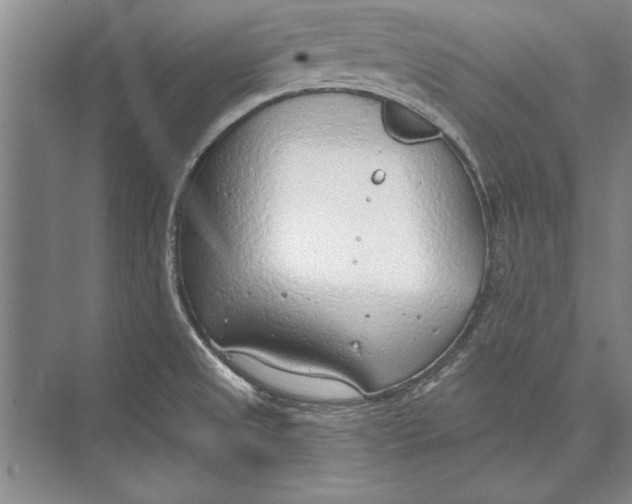 X0000074941525200609221652