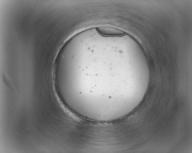 X0000074941526200609221652