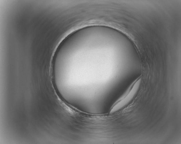 X0000074941527200609221652