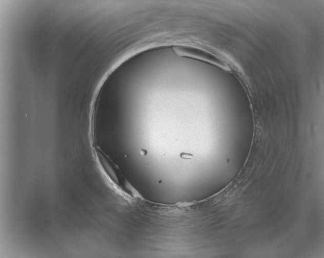 X0000074941528200609221652