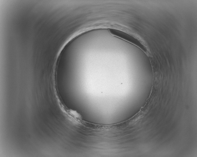 X0000074941530200609221652