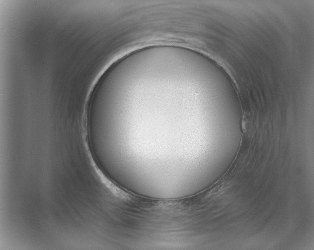 X0000074941531200609221652