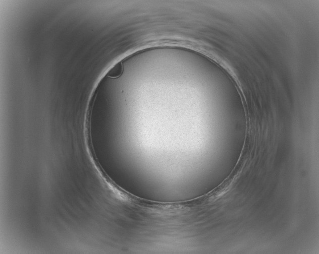 X0000074941533200609221652