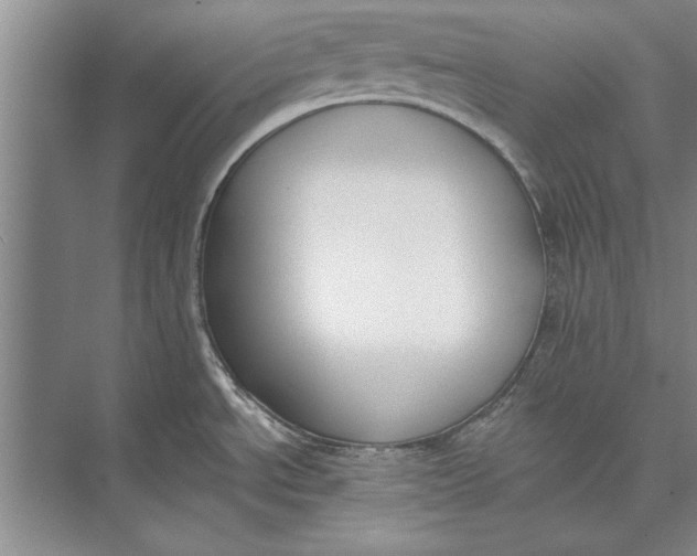 X0000074941534200609221652