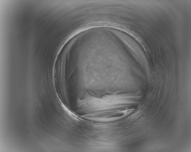 X0000074941535200609221652