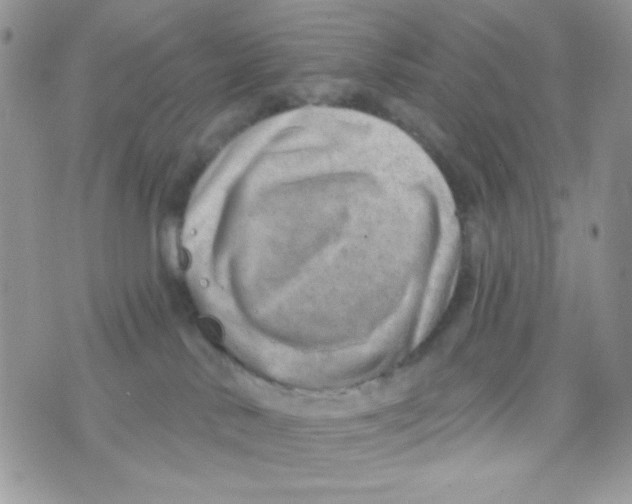 X0000074940042200609291833