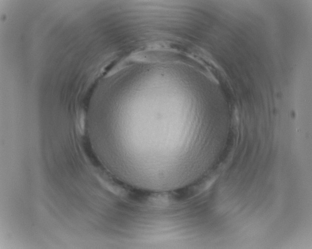 X0000074940076200609291833