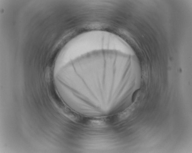 X0000074940167200609291831