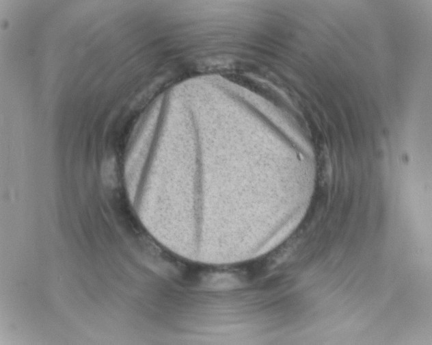 X0000074940224200609291830