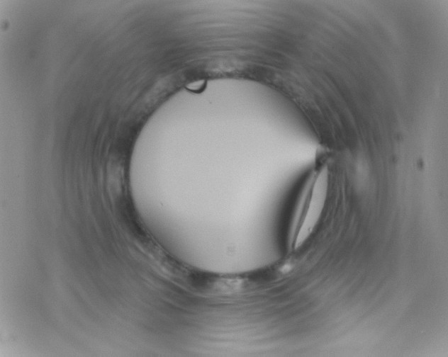 X0000074940227200609291830