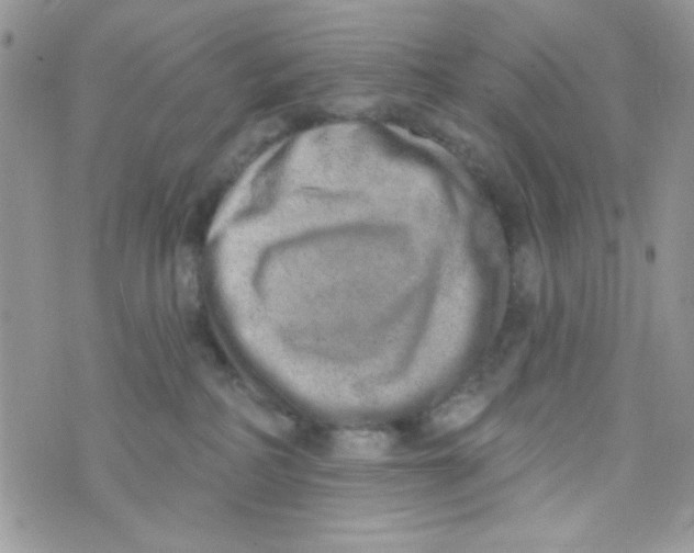 X0000074940234200609291830