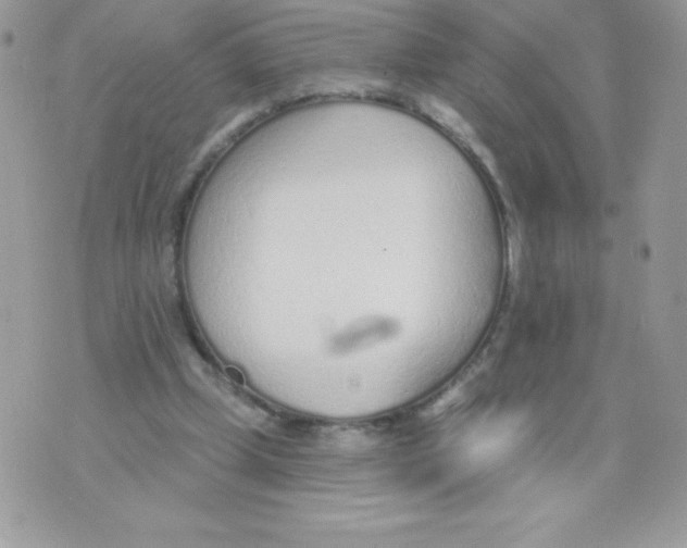 X0000074940249200609291829