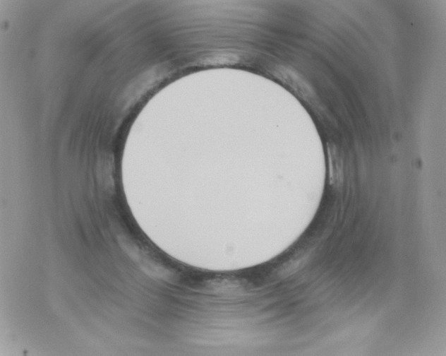 X0000074940300200609291829