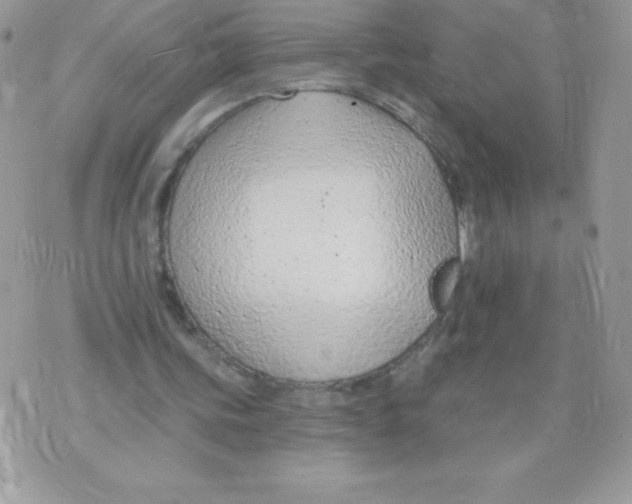 X0000074940339200609291828