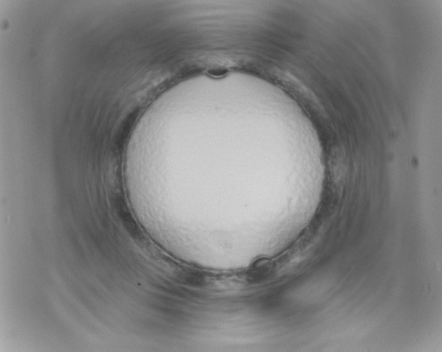 X0000074940359200609291828