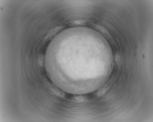 X0000074940423200609291827