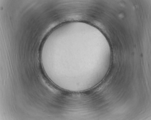X0000074940439200609291826