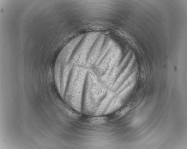 X0000074940465200609291827