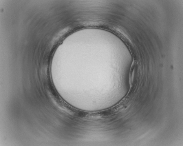 X0000074940491200609291826