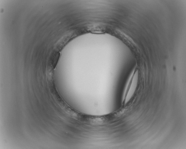 X0000074940513200609291826