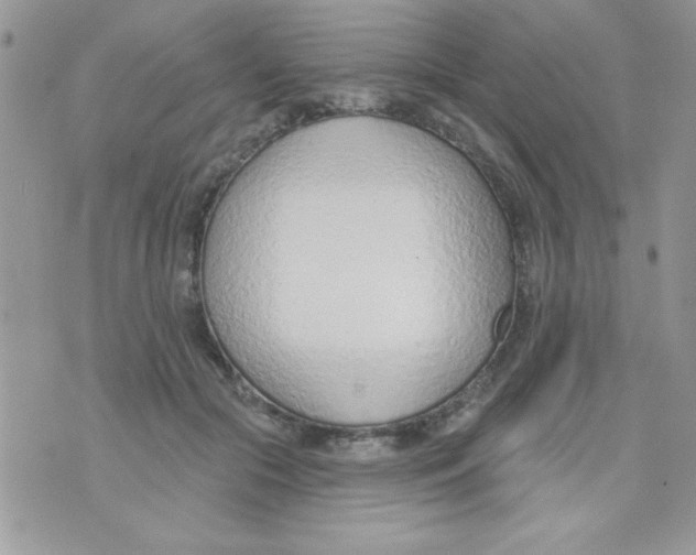 X0000074940553200609291825