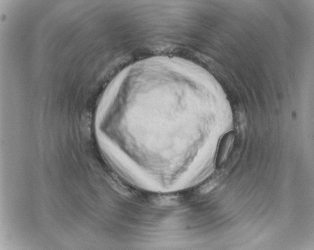 X0000074940664200609291824