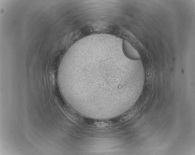 X0000074940703200609291822