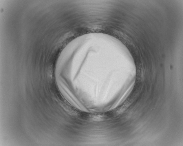 X0000074940710200609291822