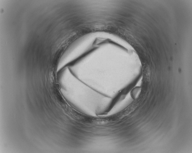 X0000074940746200609291822