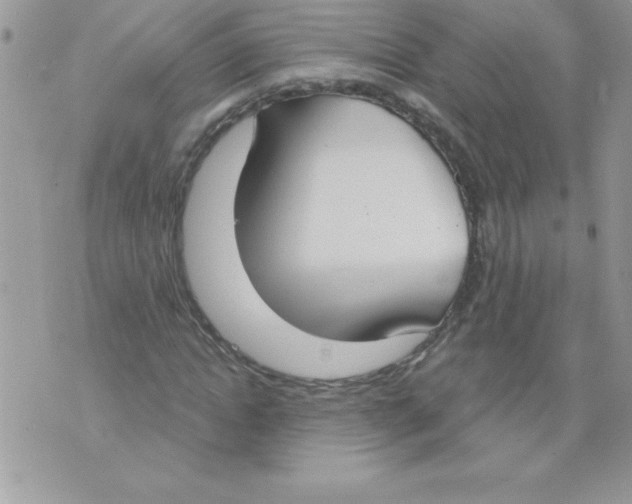 X0000074940822200609291820