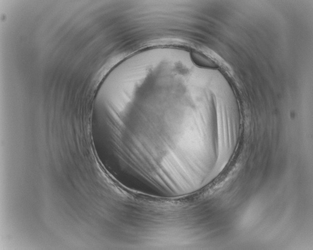 X0000074940945200609291819