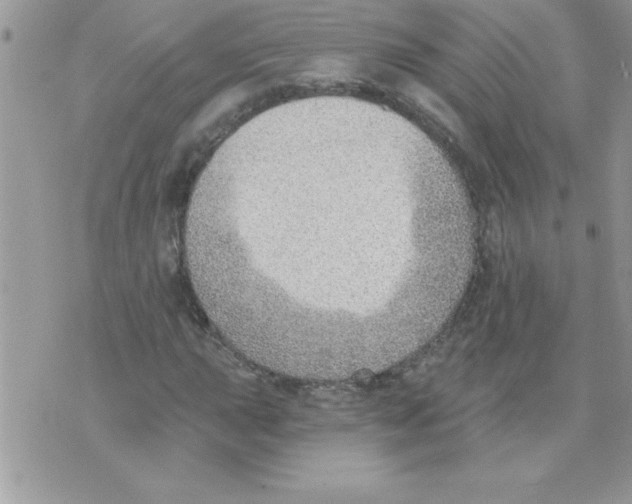 X0000074941015200609291817